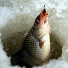 Советы по зимней рыбалке на водохранилищах (часть2)